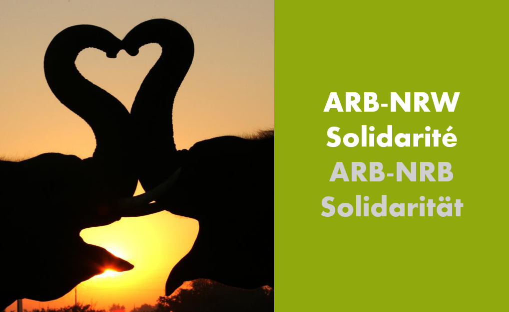 Solidarit 3